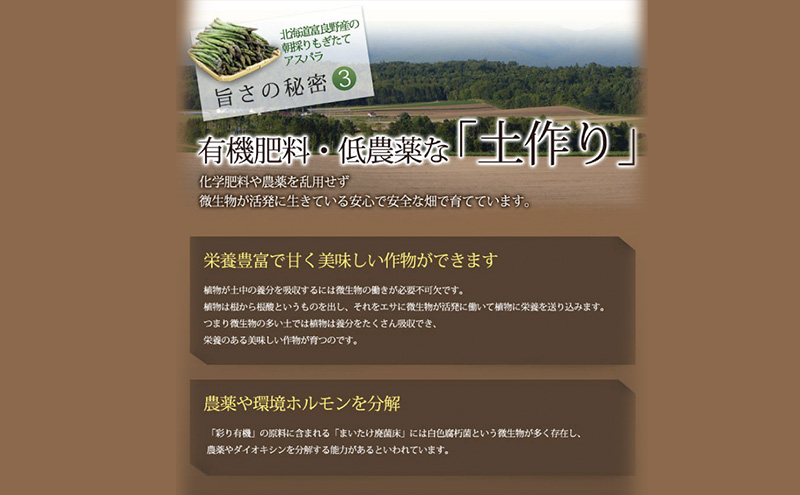 【2026年春発送】極太 グリーンアスパラ 3Lサイズ 1kg 北海道 富良野市産 (スイートベジタブルファクトリー)	
