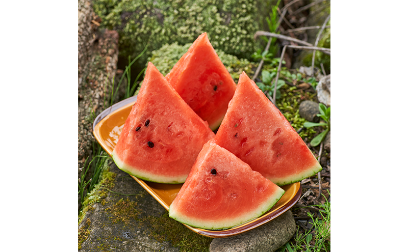 【2026年7月～発送】すいか 2L 1玉 ≪6kg以上≫ 北海道 富良野市 (スイートベジタブルファクトリー) フルーツ 果物 新鮮 甘い 贈り物 ギフト 道産 おやつ デザート ふらの ブランド スイカ 夏