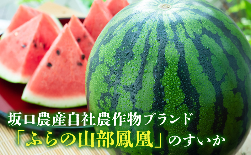 【2026年夏発送】ふらの山部の秀品スイカ『鳳凰スイカ』5kg以上 1玉(坂口農産) 北海道 富良野産 すいか 西瓜 夏 フルーツ 果物 くだもの 青果