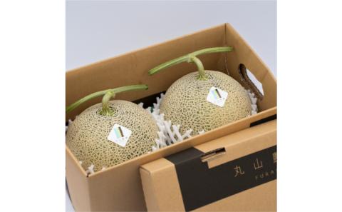 【 2026年6～8月発送】 先行受付 北海道 富良野産 赤肉 つやべに メロン 2玉 箱 4kg以上 大玉 (ふらの 丸山農園) メロン フルーツ 果物 新鮮 甘い 贈り物 ギフト 道産 ジューシー おやつ ふらの ブランド 夏