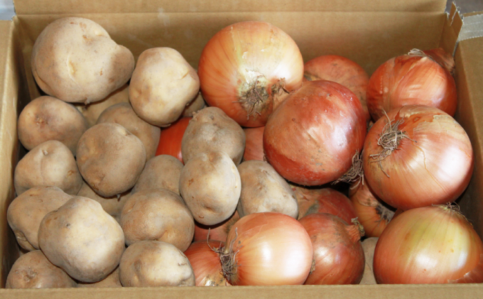 【2025年11月中旬～発送】北海道 富良野産 じゃがいも(男爵)＆玉ねぎ セット10kg (スイートベジタブルファクトリー) 野菜 新鮮 直送 いも 道産 ふらの 送料無料 数量限定 先着順