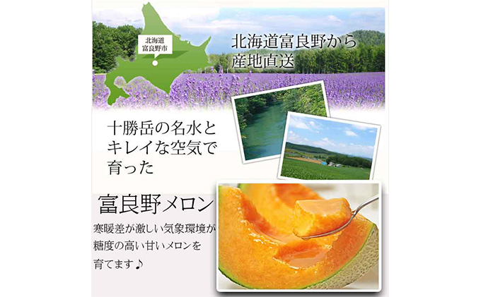 【2026年7月中旬～発送】北海道 富良野 メロン 約1.6kg×5玉入り (スイートベジタブルファクトリー) メロン フルーツ 果物 新鮮 甘い 贈り物 ギフト 道産 ジューシー おやつ ふらの ブランド 夏