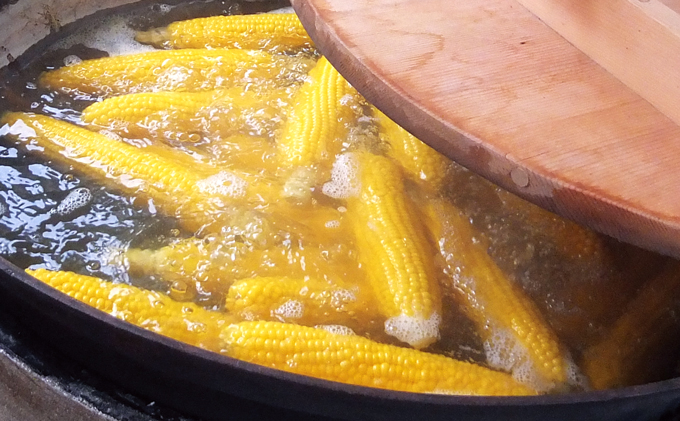 【2026年7月中旬～発送】朝もぎ とうもろこし 恵味 めぐみ 20本 L-2L 北海道 富良野市 (大島農園)