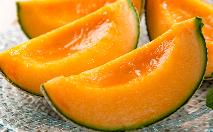 【2026年7月中旬～発送】北海道 富良野 メロン 2Lサイズ 1.5kg以上×2玉 (スイートベジタブルファクトリー) メロン フルーツ 果物 新鮮 甘い 贈り物 ギフト 道産 ジューシー おやつ ふらの ブランド 夏