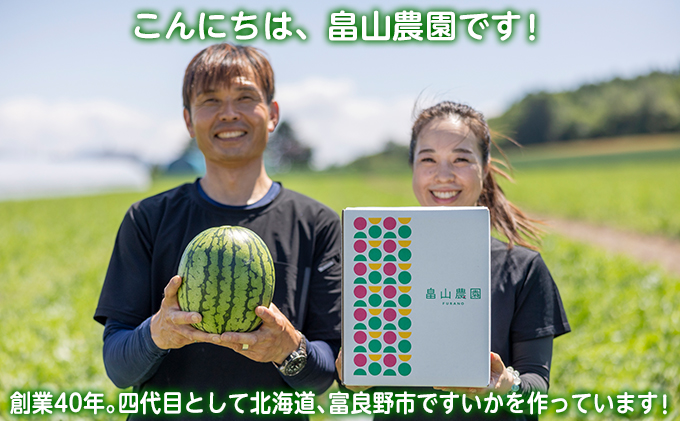 【2026夏発送】富良野産 大玉 スイカ 2L（7kg～）1玉【夏大地】北海道 ふらの すいか 西瓜 夏 フルーツ ふらの 甘い 糖度 大きい 大だま (畠山農園）