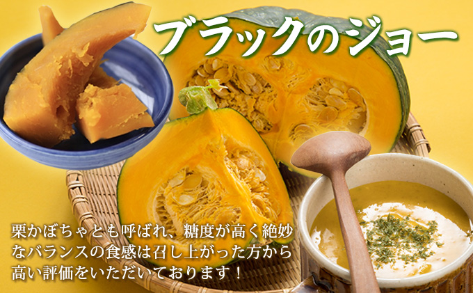 【2025年10月上旬より発送】北海道 富良野産 野菜 10kgセット じゃがいも ＆ 玉ねぎ ＆ かぼちゃ 3種 詰め合わせ (中山農園) 野菜 新鮮 直送 いも 道産 ふらの 送料無料 数量限定 先着順 北海道 富良野市 ほくほく 秋