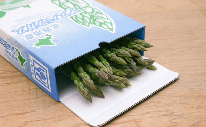【2026年春発送】 北海道 富良野産 アスパラガス 2Lサイズ 約800g 露地栽培 (山本農園) 野菜 新鮮 直送 朝採り アスパラガス 道産 北海道 ふらの