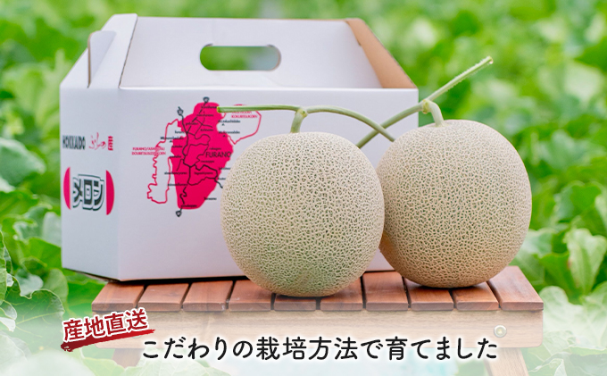 【2026年夏発送】北海道 富良野産 赤肉メロン 2玉 1.5kg～2kgサイズ ふらの メロン ギフト 果物 赤玉(榎本農園) メロン フルーツ 果物 新鮮 甘い 贈り物 ギフト 道産 ジューシー おやつ ふらの ブランド 夏