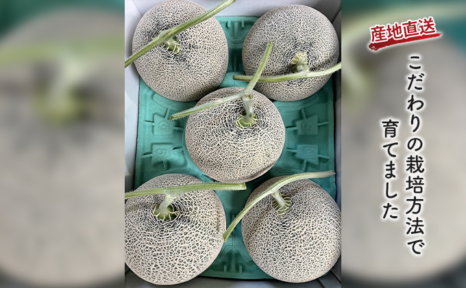【2026年夏発送】北海道 富良野産 赤肉メロン 5玉 1.5kg～2kgサイズ ふらの メロン ギフト 果物 赤玉 (榎本農園) メロン フルーツ 果物 新鮮 甘い 贈り物 ギフト 道産 ジューシー おやつ ふらの ブランド 夏