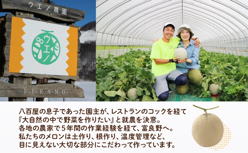 ＜2026年発送 先行受付＞ふらの産 しあわせのメロン 赤肉 大玉 2玉 計4kg メロン 富良野メロン 赤肉メロン 果物 フルーツ 甘い デザート ギフト 贈答 送料無料 ウエノ農園 北海道 富良野市