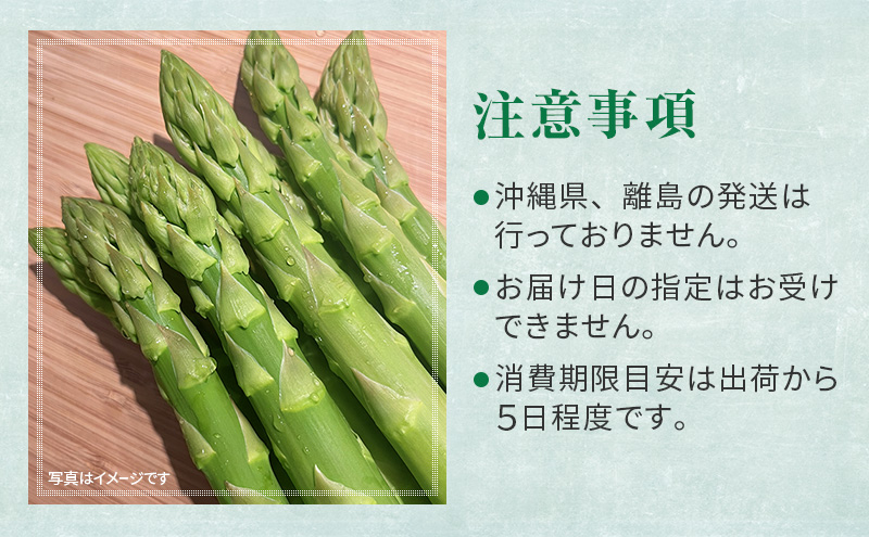 ［武田農園とれたて直送］グリーンアスパラ 2L 1kg やわらかくて抜群にあまい！北海道 富良野産 (アスパラガス アスパラ 野菜 新鮮 産地直送 先行予約 限定)