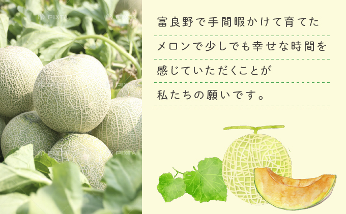 2024年6月下旬～発送】ふらの 赤肉 メロン 3玉入 約1.7kg～2kg 北海道 富良野市 (相馬農園) メロン フルーツ 果物 新鮮 甘い 贈り物  ギフト 道産 ジューシー おやつ ふらの: 富良野市ANAのふるさと納税