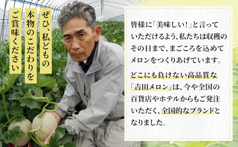 【2026年8月下旬より発送】北海道 富良野 メロン 赤肉 約2.1kg×1玉 (吉田農園) メロン フルーツ 果物 新鮮 甘い 贈り物 ギフト 道産 ジューシー おやつ ふらの ブランド 夏
