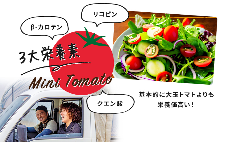 【数量限定・2025年7月中旬～順次発送】富良野 益田農園産 ミニトマト 約1kg トマト ギフト 北海道 富良野市 野菜 とれたて 新鮮 限定 数量限定 (益田農園)