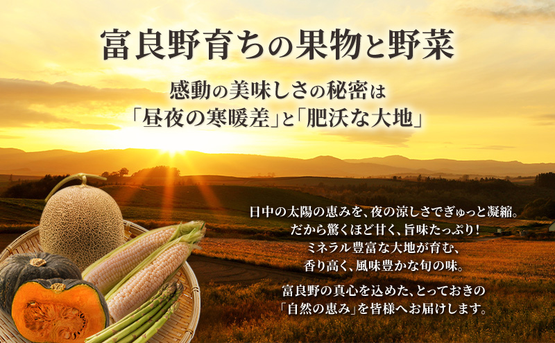 2026年夏発送【先行受付】 ふらのメロン 赤肉 秀大2玉 計4kg以上 富良野メロン 赤肉 めろん 北海道 甘い 大きい 果物 フルーツ