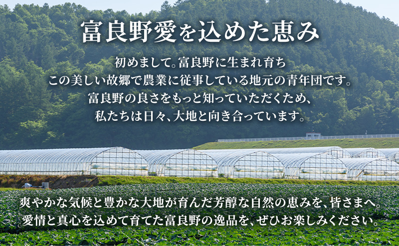 2026年夏発送【数量・期間限定】一足早く7月前半出荷予定 ふらの産 ホワイトとうきび10本［2L］ホワイトショコラ 富良野 北海道  とうもろこし 甘い 白 野菜 果物 朝採り