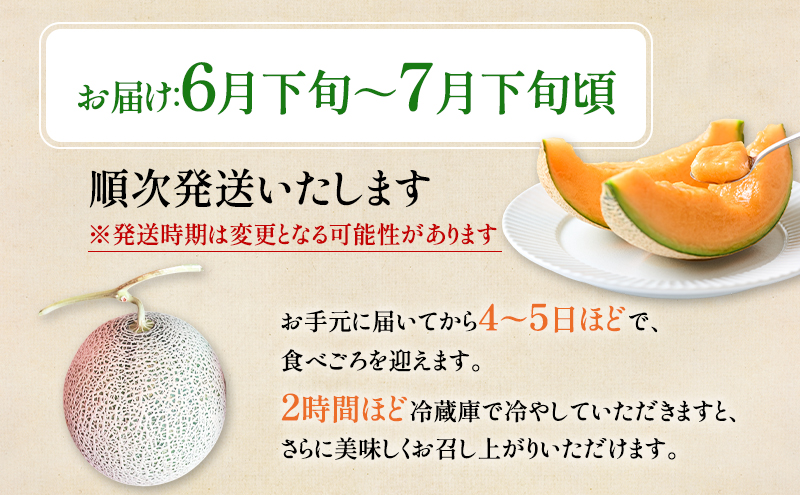 北海道 富良野産 ヒグマのおくりもの(メロン)[4玉 2kg以上/玉] メロン フルーツ 果物 新鮮 甘い 贈り物 ギフト 道産 ジューシー おやつ ふらの ブランド 夏