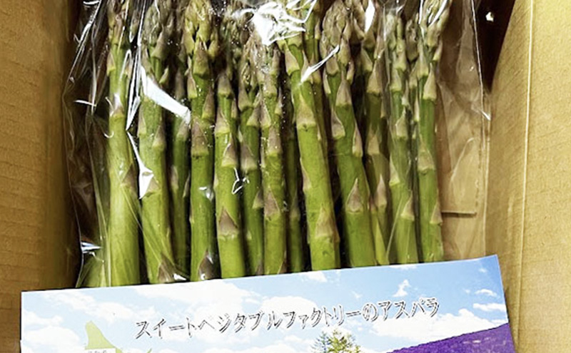 【2026年春発送】極太 グリーンアスパラ 2Lサイズ 1kg 北海道 富良野市産 (スイートベジタブルファクトリー)