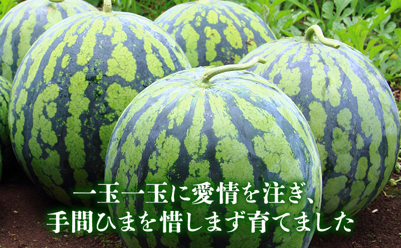 [ANA限定]【2026年夏発送】ふらの山部の秀品スイカ『鳳凰スイカ』約3kg 1玉(坂口農産) 北海道 富良野産 すいか 西瓜 夏 フルーツ 果物 くだもの 青果