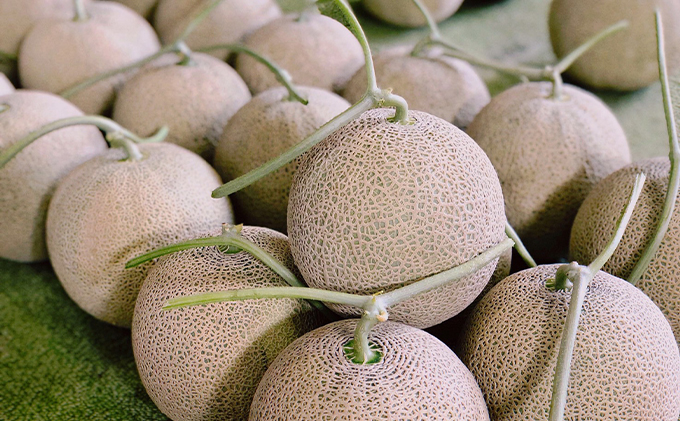 【2025年7月中旬～発送】北海道 ふらの 赤肉メロン 2玉入り 約2kg×2玉 (守田農園) メロン フルーツ 果物 新鮮 甘い 贈り物 ギフト 道産 ジューシー おやつ ふらの ブランド 夏