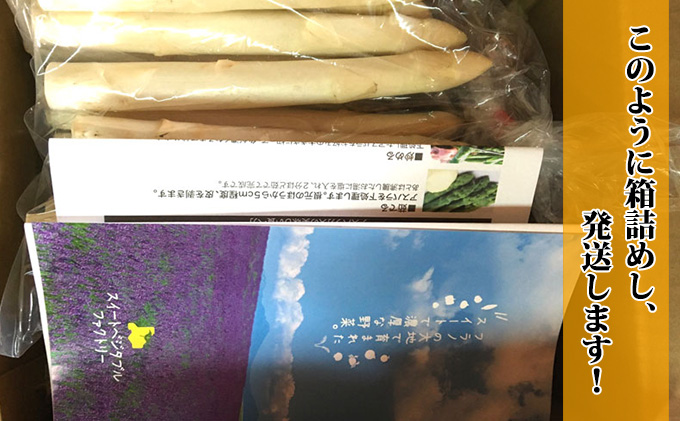 【2026年5月中旬～発送】グリーン アスパラ・ホワイト アスパラ S～Lサイズ混合 1kg セット北海道 富良野市 (スイートベジタブルファクトリー) 野菜 新鮮 直送 朝採り アスパラガス 道産 北海道 ふらの