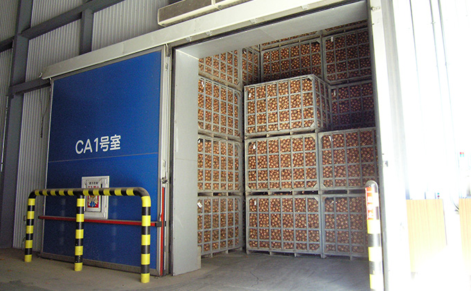 【北海道富良野産】L～2L サイズ 玉ねぎ 約10kg (JAふらの) たまねぎ 玉葱 タマネギ 野菜 新鮮 直送 道産 ふらの 送料無料 数量限定 先着順