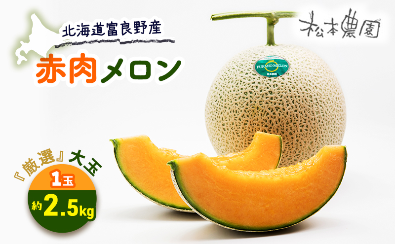 【2026年6月下旬より発送】北海道 富良野 赤肉 メロン『厳選』大玉 1玉 約2.5kg (松本農園) メロン フルーツ 果物 新鮮 甘い 贈り物 ギフト 道産 ジューシー おやつ ふらの ブランド 夏