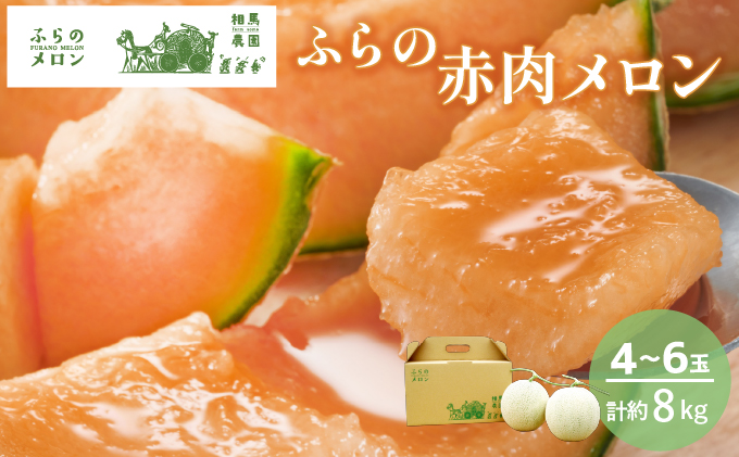 【2026年6月下旬～発送】ふらの 赤肉 メロン 4～6玉入 計約8kg 北海道 富良野市 (相馬農園) メロン フルーツ 果物 新鮮 甘い 贈り物 ギフト 道産 ジューシー おやつ ふらの ブランド 夏