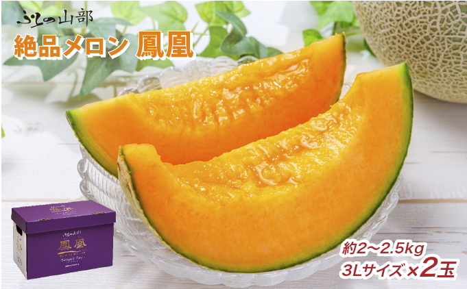 【2026年6月より順次発送】ふらの山部の絶品メロン『鳳凰』3L（2～2.5kg）×2玉（坂口農産）メロン フルーツ 果物 新鮮 甘い 贈り物 ギフト 道産 ジューシー おやつ ふらの ブランド 夏
