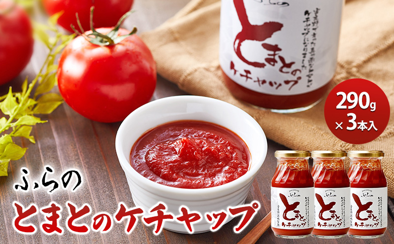 ふらの とまとのケチャップ 290g×3本入 (調味料 加工品 ケチャップ トマト ソース 北海道 送料無料 道産 富良野市 ふらの)