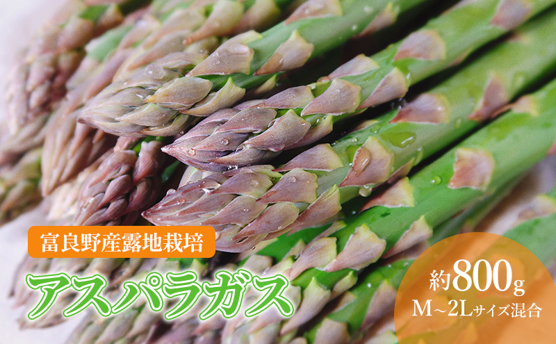 【2026年春発送】北海道 富良野産 アスパラガス M～2Lサイズ混合 約800g 露地栽培 (山本農園)  野菜 新鮮 直送 朝採り アスパラガス 道産 北海道 ふらの