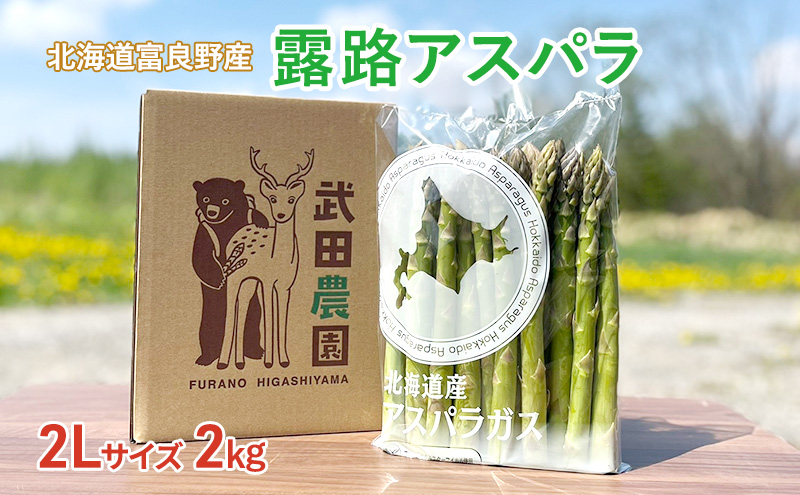 極太 北海道産 グリーン アスパラガス 2kg 2Lサイズ 北海道産