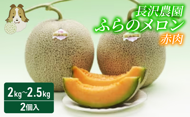 【先行受付  2026年発送】ふらのメロン 赤肉 大玉 ジャンボ 2玉 セット (1玉 2.0kg～2.5kg) 北海道 富良野 メロン 夏 果物 フルーツ ギフト 長沢農園