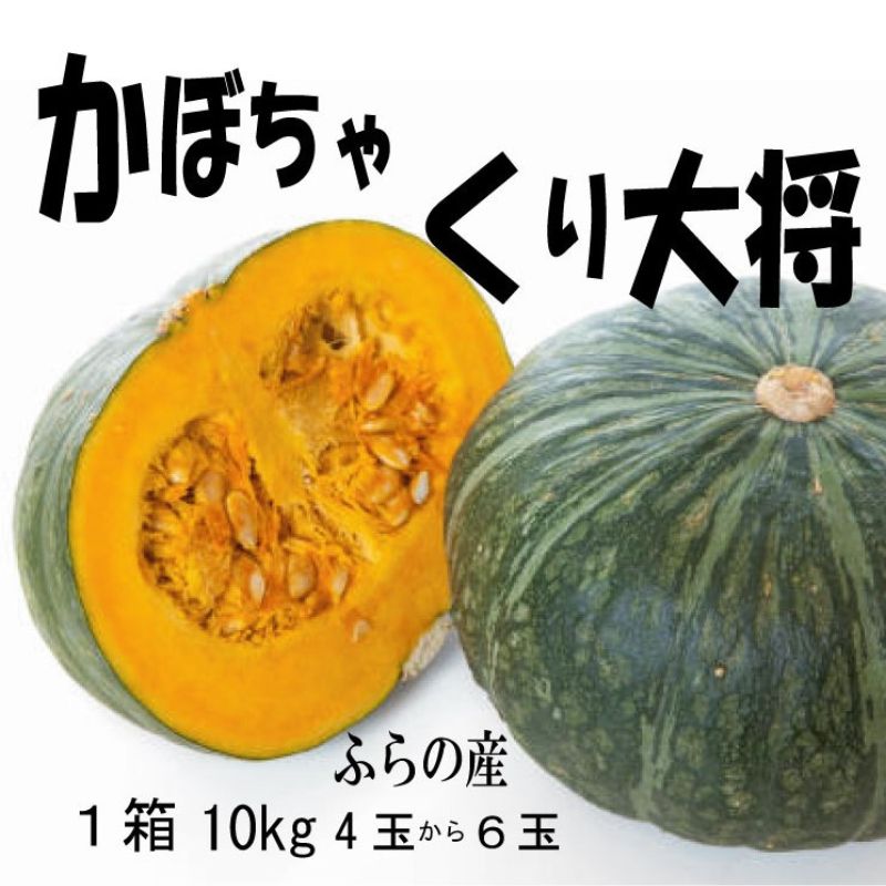 2026年秋発送【数量・期間限定】ふらの産 かぼちゃ10kg［くり大将］ 富良野 北海道 カボチャ 南瓜 甘い 野菜