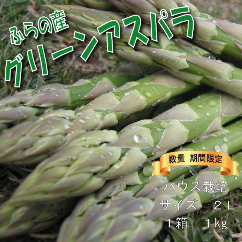 2026年春発送 ふらの産 グリーンアスパラ1kg［2Lサイズ］ハウス栽培 富良野 北海道 野菜 アスパラ 朝採り アスパラガス