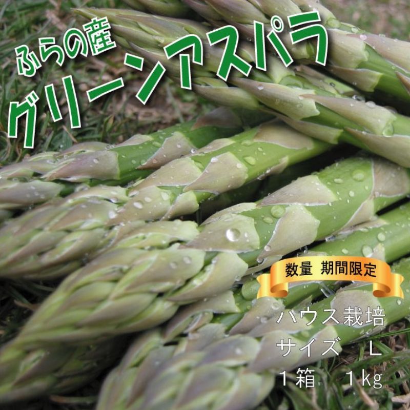 2026年春発送 ふらの産 グリーンアスパラ1kg［Lサイズ］ハウス栽培 富良野 北海道 野菜 アスパラ 朝採り アスパラガス