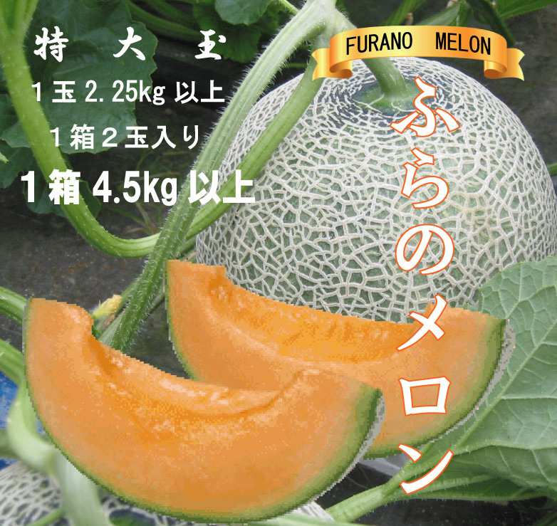 2026年夏発送【先行受付】 ふらのメロン 赤肉 特大玉2玉［1玉2.25kg以上］計4.5kg以上 富良野メロン 赤肉 めろん 北海道 甘い 大きい 果物 フルーツ