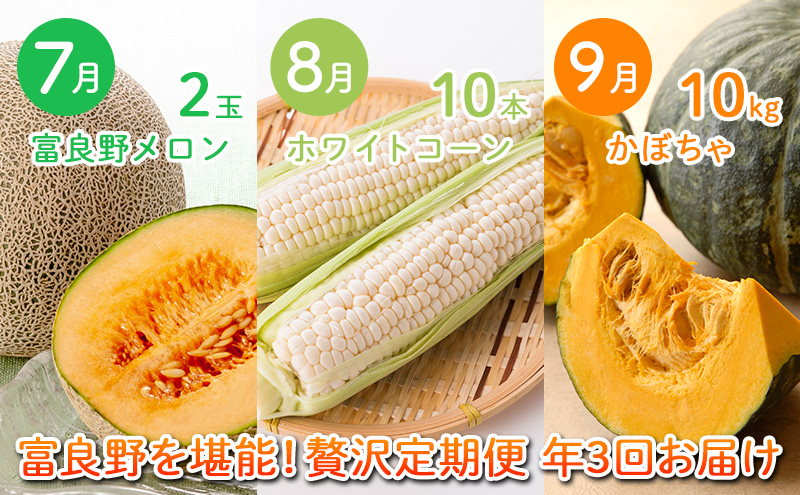 2026年夏～発送 富良野を堪能！贅沢 定期便 年3回 北海道 富良野産 とうもろこし メロン かぼちゃ 野菜 ふらの とうきび