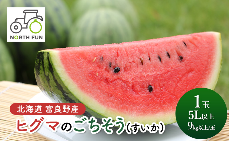 北海道 富良野産 ヒグマのごちそう(すいか)[1玉 5L以上 9kg以上/玉] すいか フルーツ 果物 新鮮 甘い 贈り物 ギフト 道産 ジューシー おやつ ふらの ブランド 夏