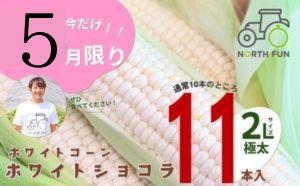 【ANA限定】5月限定で1本増量！≪2025年7月中旬～発送≫北海道 富良野産 ホワイトコーン『ホワイトショコラ』2L サイズ 11本 とうもろこし (NORTH FUN) とうもろこし とうきび コーン 野菜 新鮮 甘い ジューシー 贈り物 ギフト 道産 直送 ふらの 富良野市