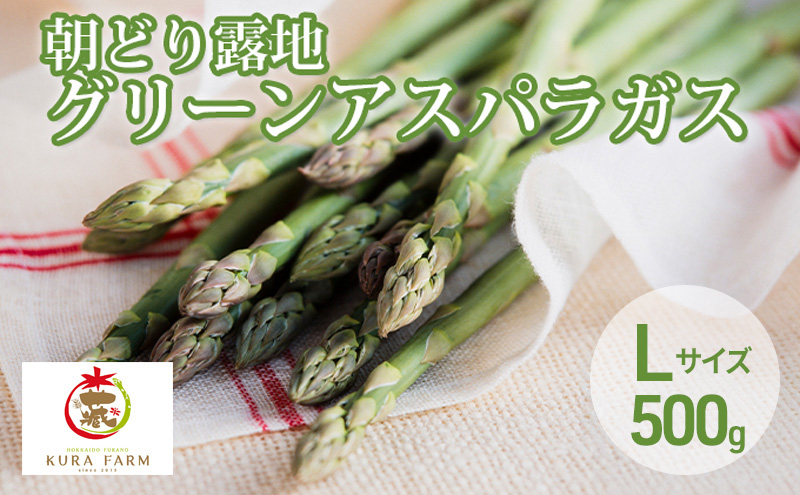 【2026年5月より発送】北海道 富良野市産 アスパラ 緑 (Lサイズ) 約500g 朝どり 露地 グリーン アスパラガス 詰め合わせ 野菜 新鮮 数量限定 先着順【藏ファーム】