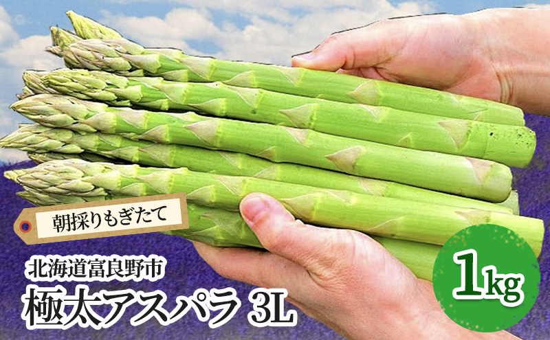 【2026年春発送】極太 グリーンアスパラ 3Lサイズ 1kg 北海道 富良野市産 (スイートベジタブルファクトリー)	