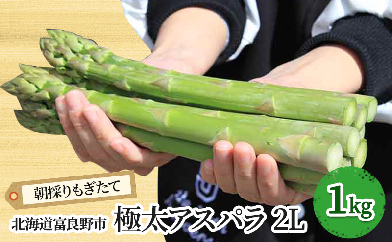 【2026年春発送】極太 グリーンアスパラ 2Lサイズ 1kg 北海道 富良野市産 (スイートベジタブルファクトリー)