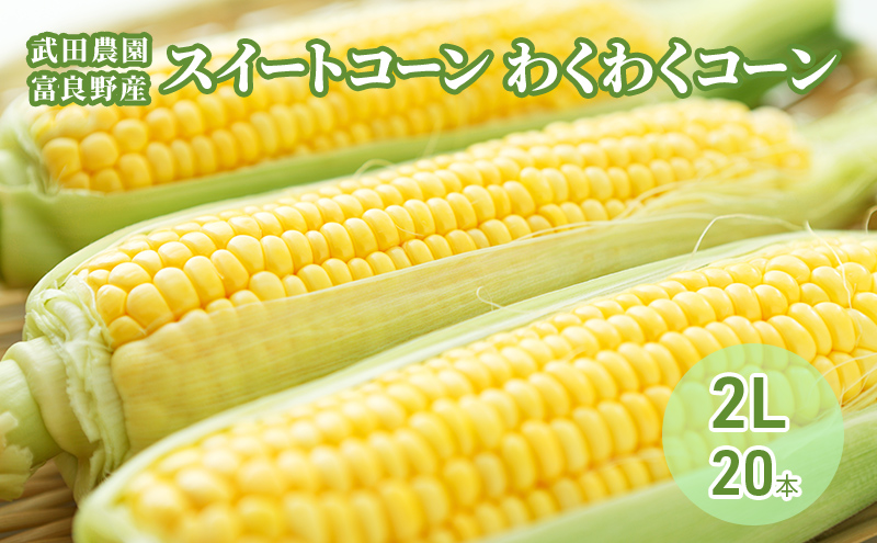 2026年夏発送 ［武田農園とれたて直送］スイートコーン わくわくコーン 2L 20本 みずみずしく抜群にあまい！北海道 富良野産 (とうもろこし 野菜 新鮮 とうきび 甘い 産地直送 先行予約 限定)