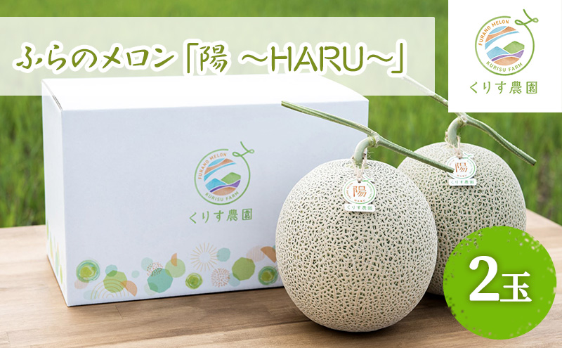 【2026年7月上旬より順次発送】ふらのメロン「陽 ～HARU～」大玉(2.3kg以上)×2玉 ( 赤肉 )( くりす農園 )