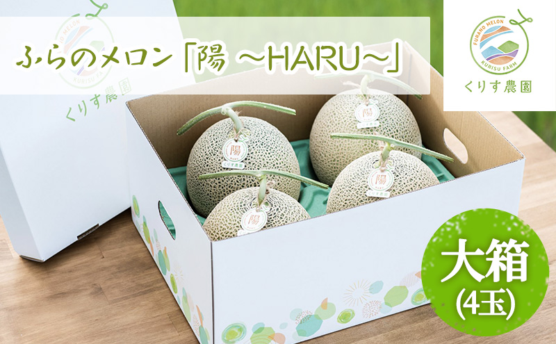 【2026年7月上旬より順次発送】ふらのメロン「陽 ～HARU～」大箱(8kg以上：大玉×4玉) ( 赤肉 )( くりす農園 )