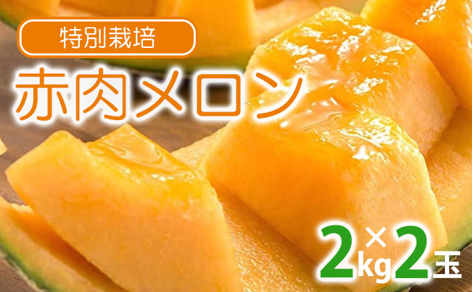 【2025年夏出荷】 ”特別栽培” 富良野産メロン 北添花 （赤肉メロン2玉入 約4kg）【植崎ファーム】メロン フルーツ 果物 新鮮 甘い 贈り物 ギフト 道産 ジューシー おやつ ふらの ブランド 夏