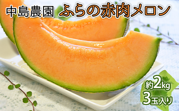 【2026年7月～発送】北海道 富良野市 ふらの赤肉 メロン 2kg×3玉 (中島農園) メロン フルーツ 果物 新鮮 甘い 贈り物 ギフト 道産 ジューシー おやつ ふらの ブランド 夏