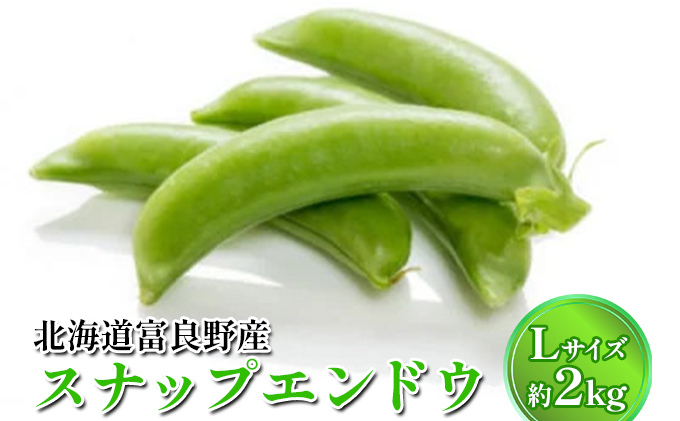【2026年春発送】数量限定 北海道 ふらの産 スナップ エンドウ Lサイズ 約2kg (嶋崎農園) 野菜 新鮮 直送 朝採り アスパラガス 道産 富良野 ふらの