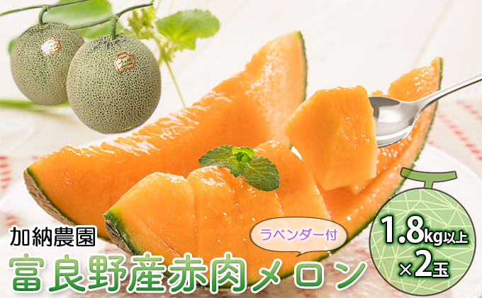 【2026年7月～発送】富良野産 赤肉 メロン ≪ラベンダー付≫ 1.8kg以上×2玉 北海道 富良野市 (加納農園) メロン フルーツ 果物 新鮮 甘い 贈り物 ギフト 道産 ジューシー おやつ ふらの ブランド 夏